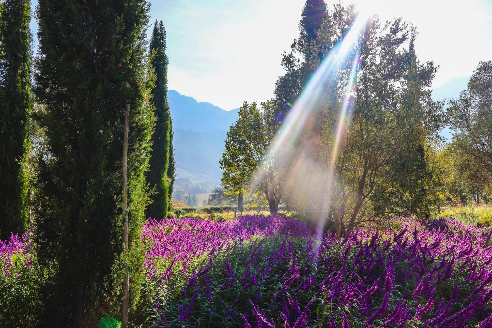 La Villa Franschhoek Kültér fotó
